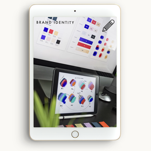 Company Brand Identity with All Files + Social Media Kit + Brand Guide